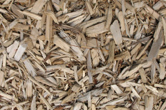 biomass boilers Caunton