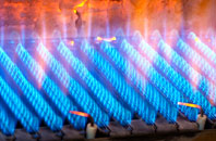 Caunton gas fired boilers